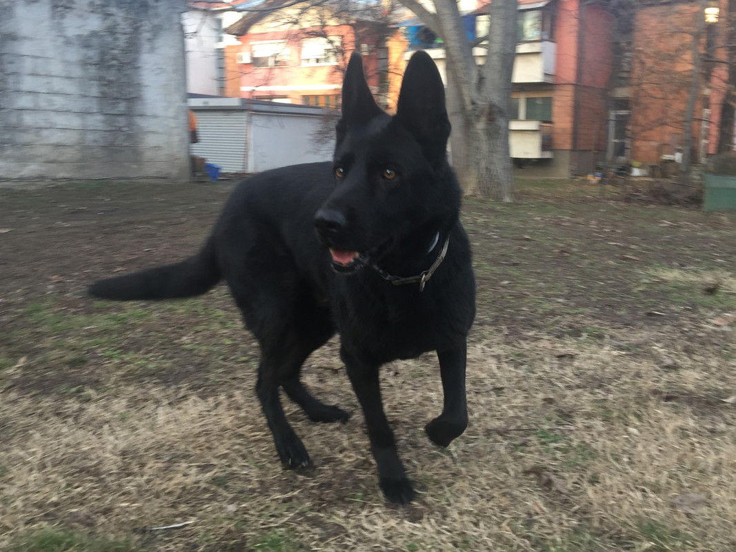 D3CE0BE4-A9AF-4848-B830-FDE2FC837352