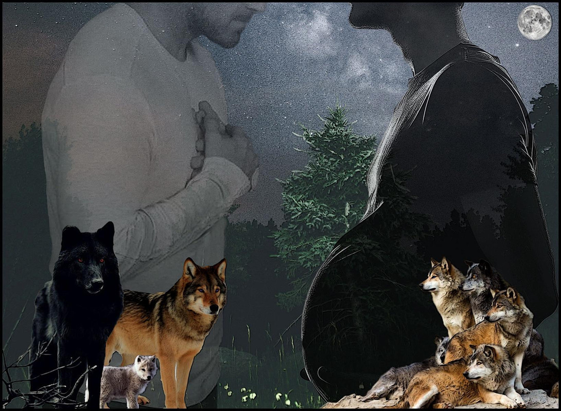 ”Steter_mpreg_with_two_wolf_packs"