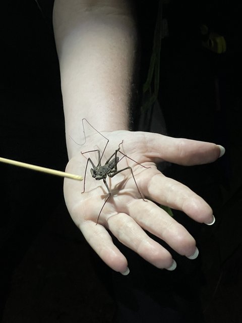 San José - Bahía Drake - Costa Rica desde el aire. Una ruta diferente. Julio 2021 (7)
