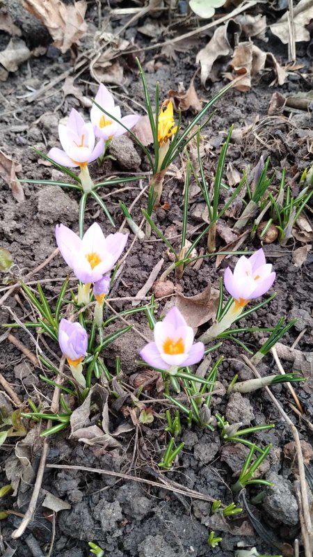 изображение_viber_2024-02-14_11-34-58-259