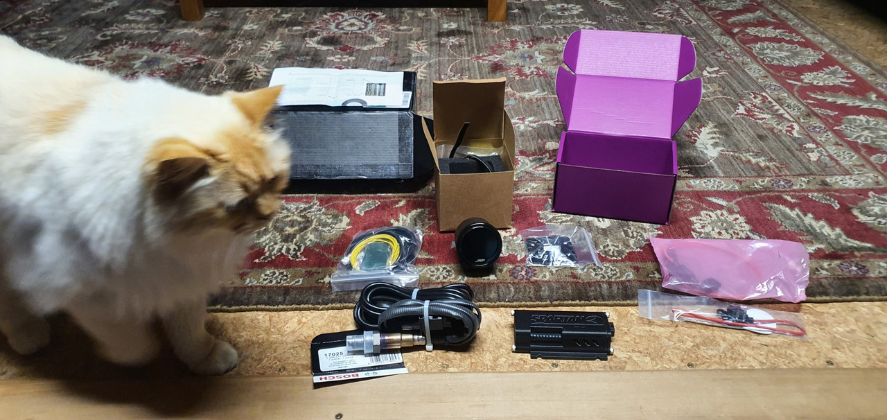 20231031_191809 (Custom)