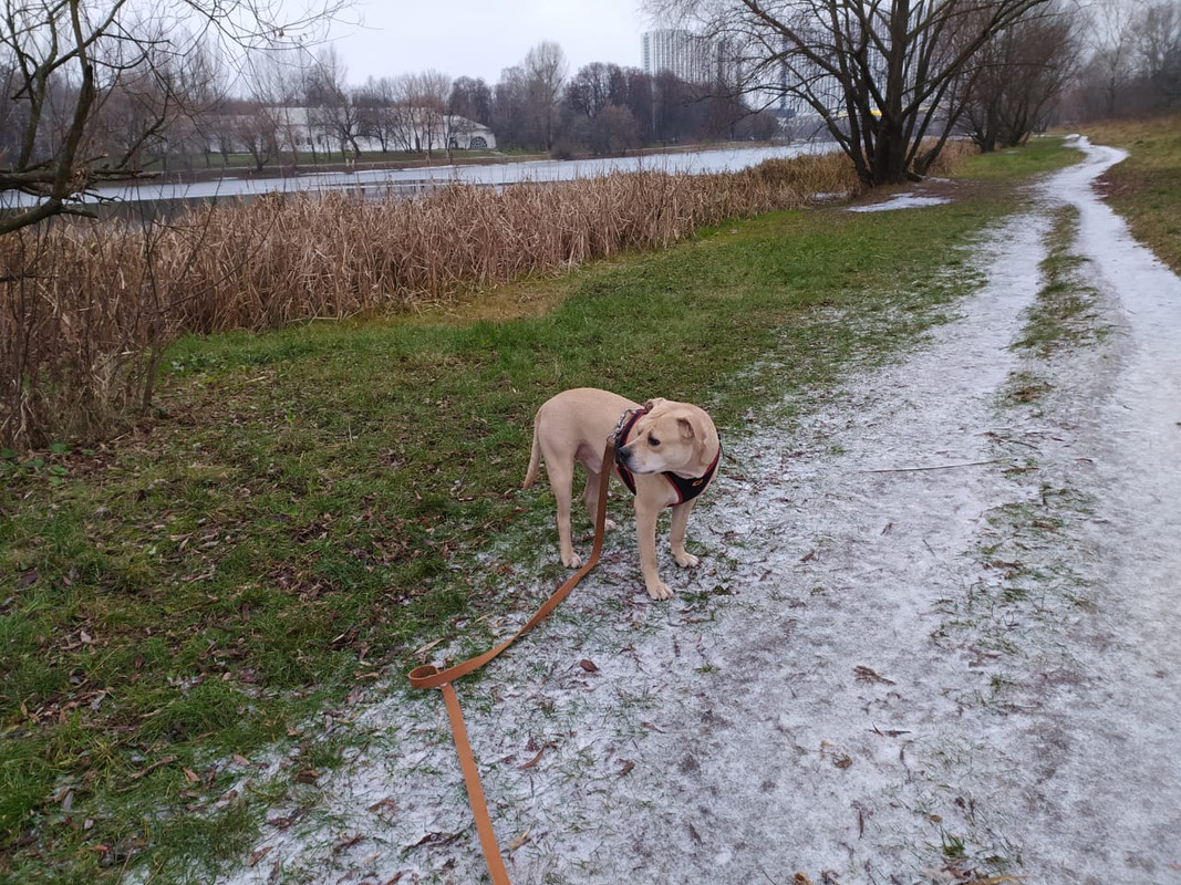 505E3015-489D-4DA2-A336-70C5CEA7E8EA