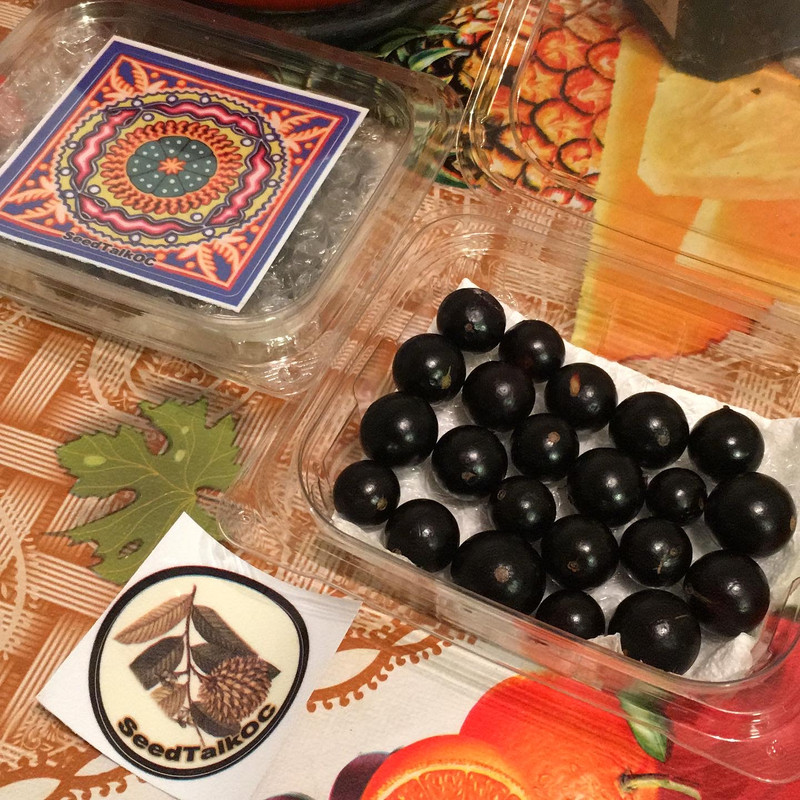 418A32FE-EE42-4C01-8D47-D0E955661DE1