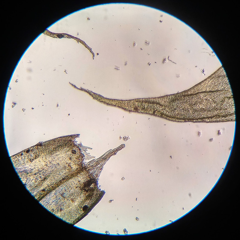 IMG 20250616 210405 HDR