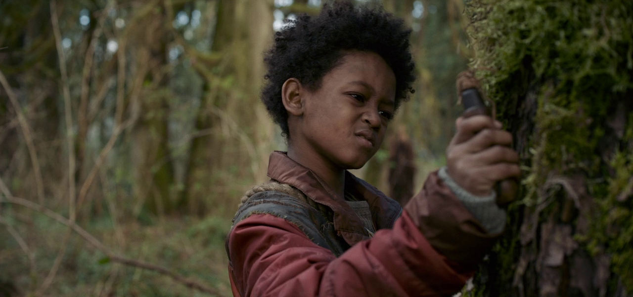 vlcsnap-2025-01-12-11h51m18s342