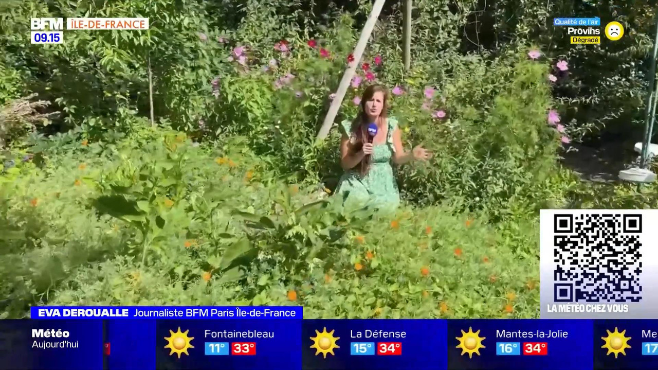 vlc-record-2022-08-13-16h22m53s-08.13 - 07.55.51-1.m4v-.mp4_snapshot_00.17_[2022.08.13_16.49.37]