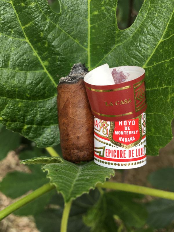 04A4267F-E732-4531-96C8-D3D6279AD357