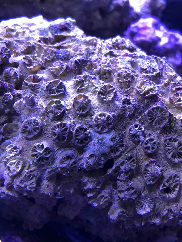 1CDCD443-84D4-46E3-AF80-DCE4AC7CA8F3