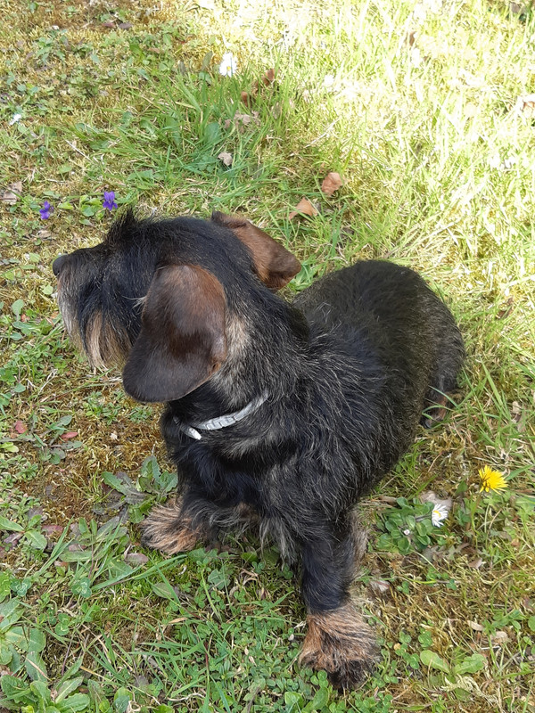 [Image: 20230330-172701.jpg]