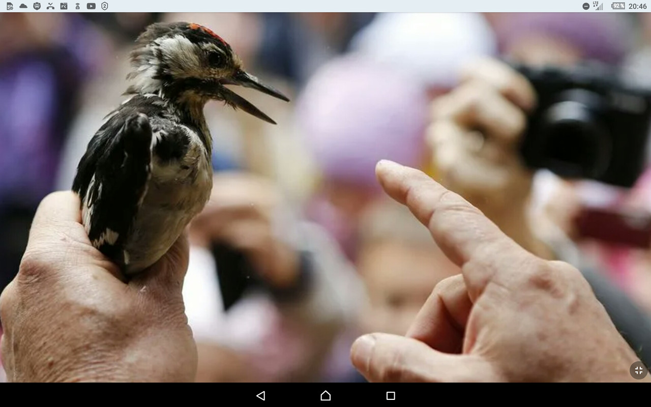 Screenshot_2023-10-20-20-46-44