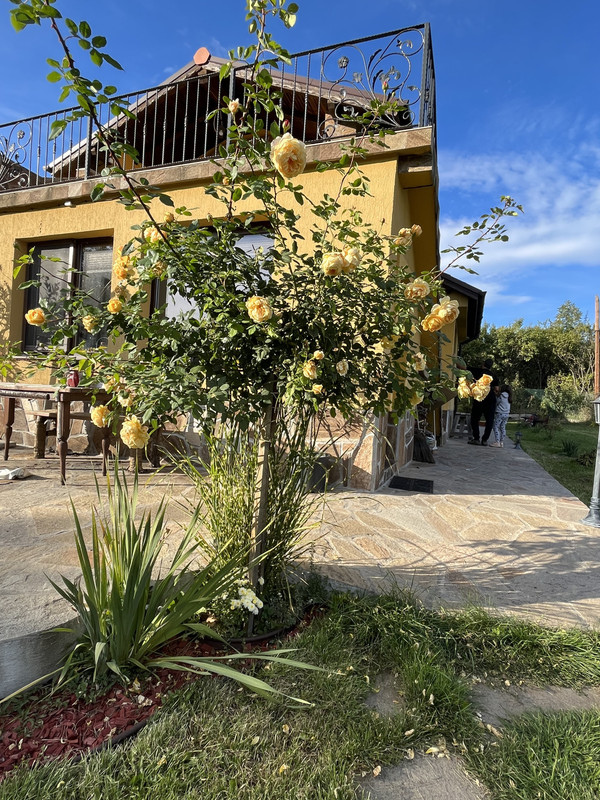 2E1B7507-4F45-4824-B9AC-879AA5E6CD95