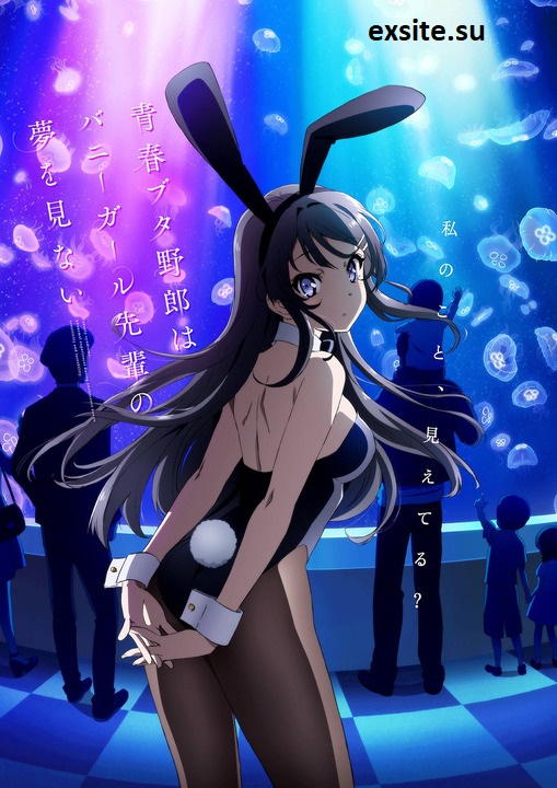 Seishun Buta Yarou wa Bunny Girl Senpai no Yume wo Minai  (2018) (Sezon 1 + Film)  PL.Bluray.1080p.x264-zyl / Napisy PL