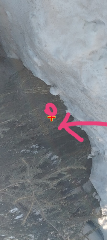 Screenshot 20260227 135923 com hihonor photos Slot Album Activity