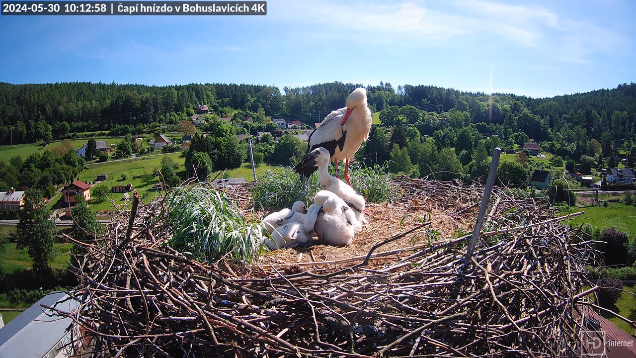 Tiešraidē no uzņēmuma KARA stārķa skursteņa Bohuslavicē pie Trutnovas 13-5-58 screenshot
