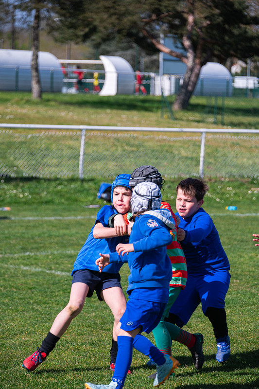 tournoi-de-latlantique-2026-adonis-griffon-168-55180397987-l