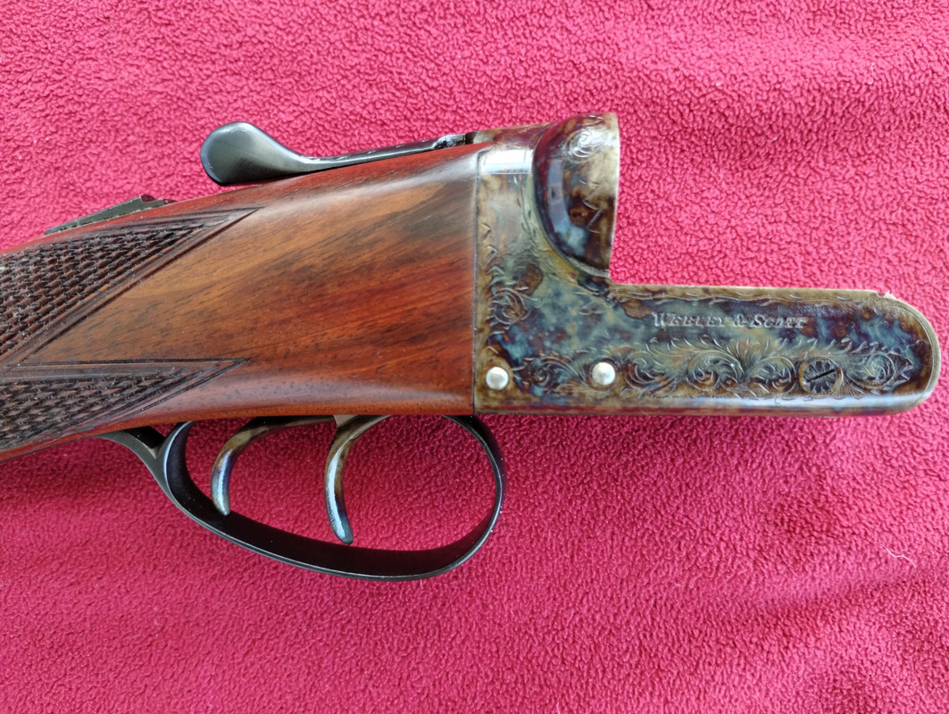 IMG_20250719_102358772 (002)