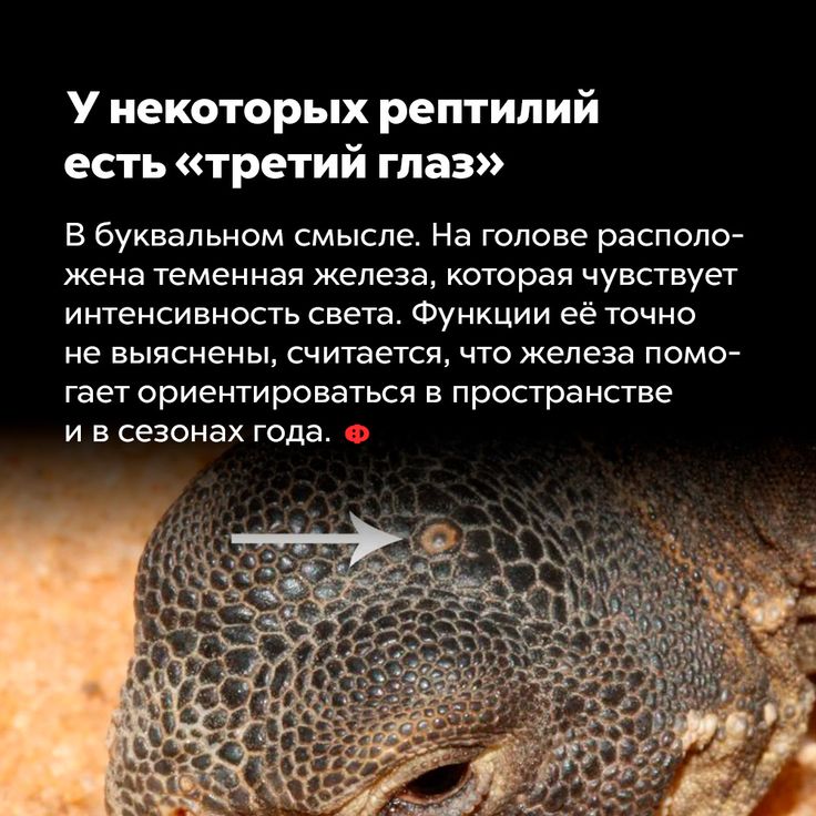 [Изображение: 37842795750501e383298510369b0aac.jpg]