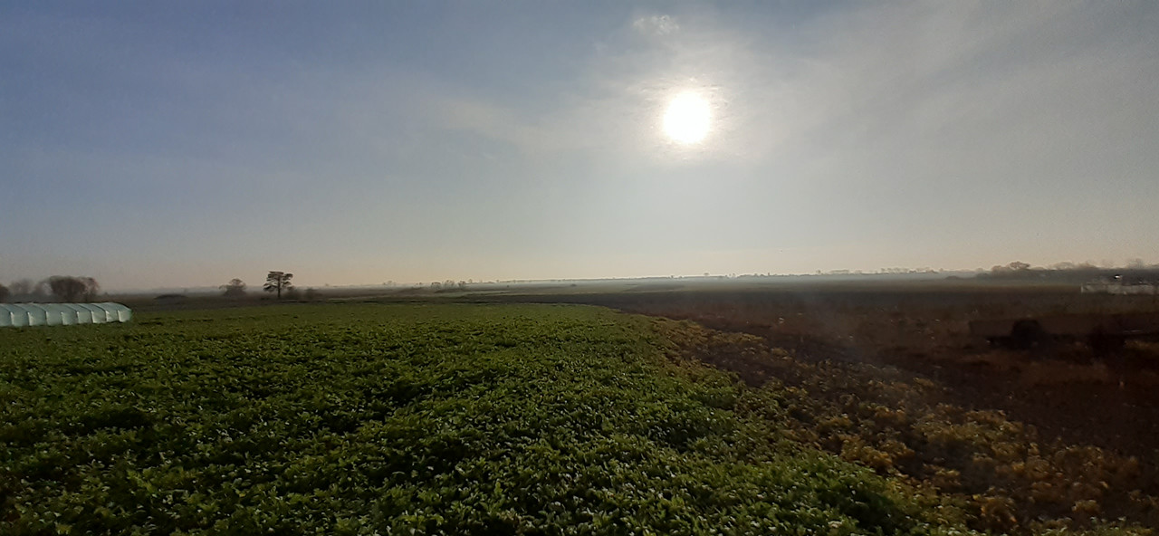 010 - 20191111_124027