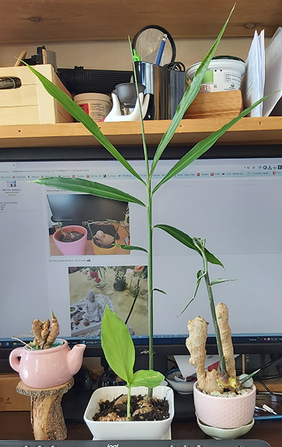 [Image: 20200819-123550.jpg]