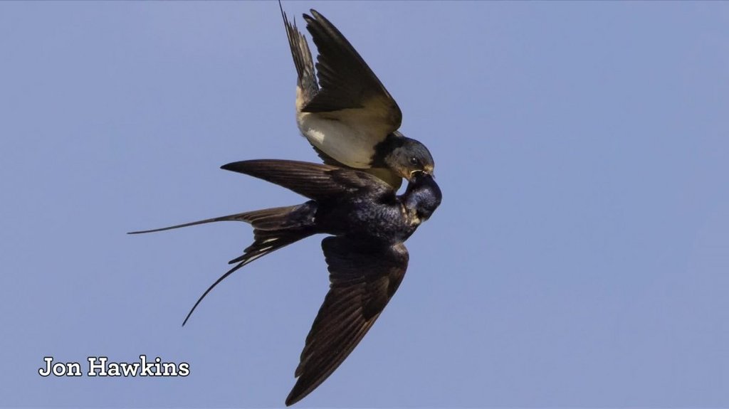 [Image: 10wl1wlxo6ve.jpg]