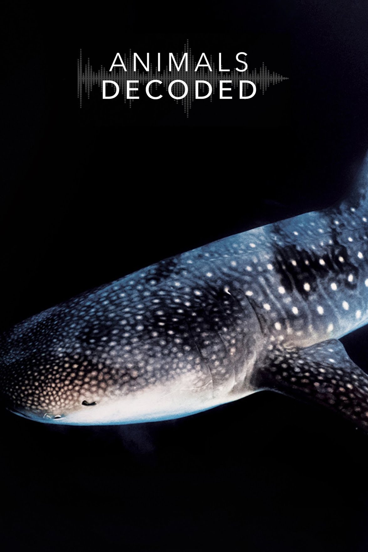 [Image: 9ev0ltu5rk1m.jpg]