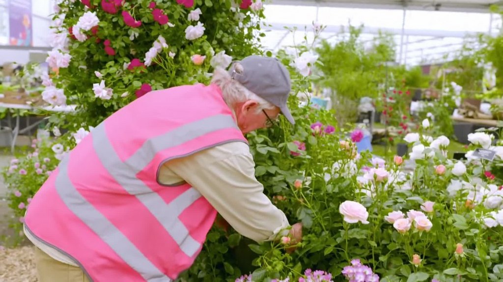 [Image: ormbr7qi531x.jpg]