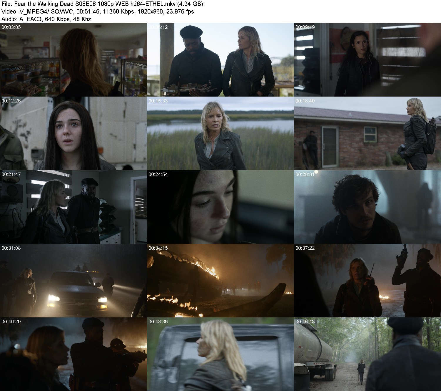 [Image: ft4ts0j3oj8y.jpg]