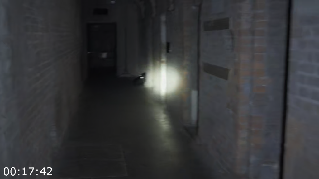 sz4fdxyx673l.png