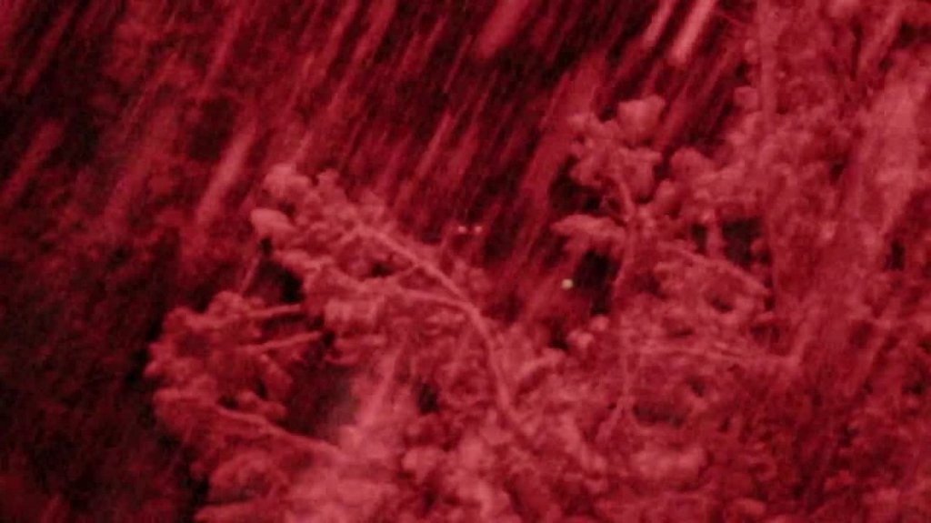 [Image: d7475wpmoqud.jpg]