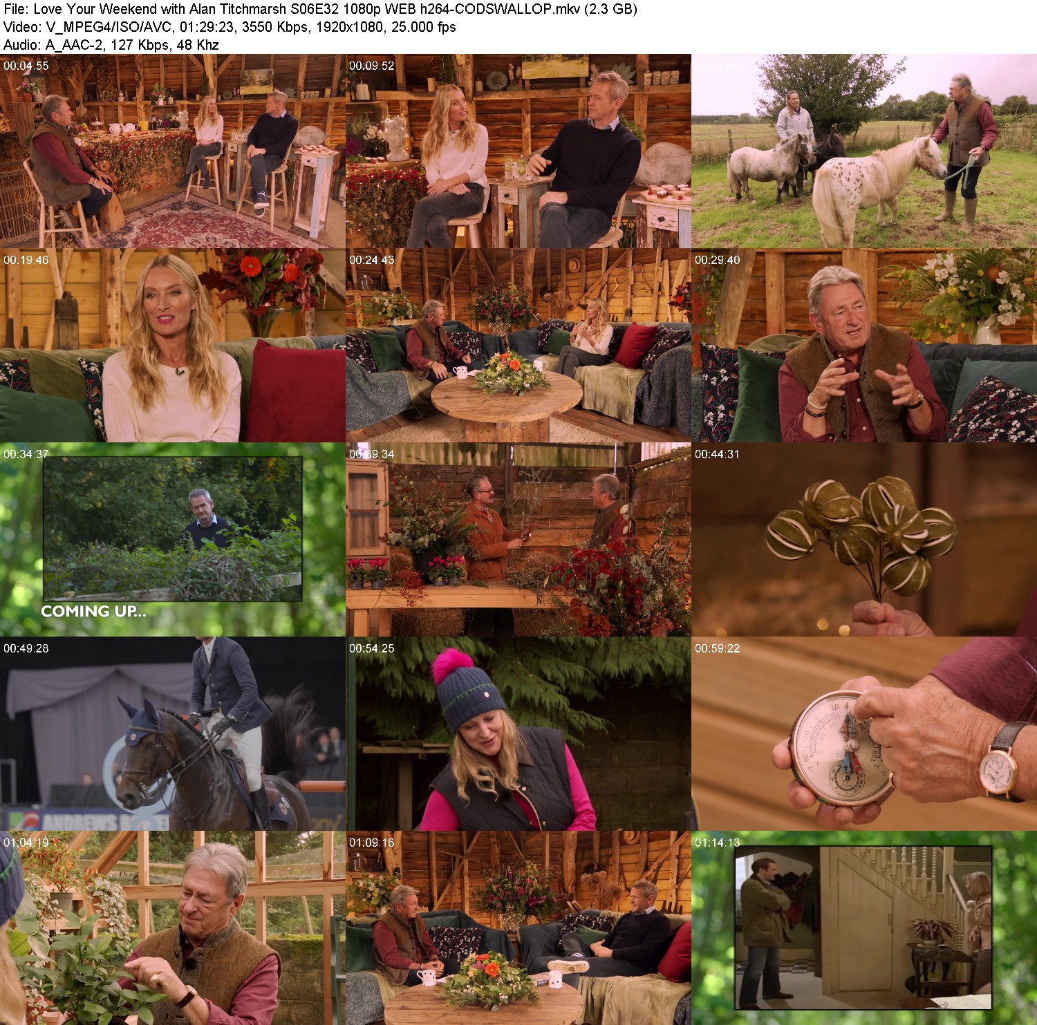 [Image: gv2ip2uyn27c.jpg]