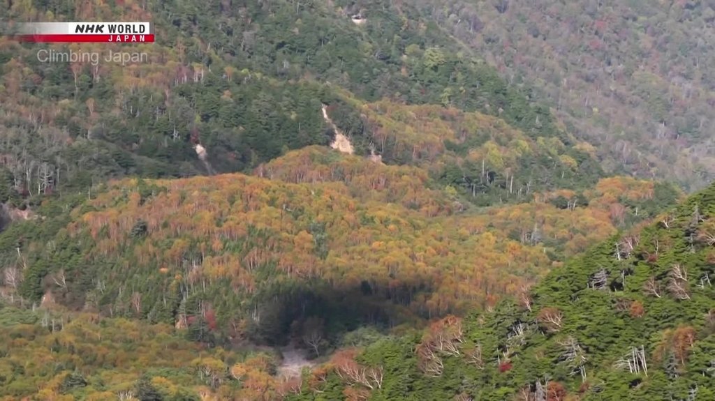 [Image: nkg165czna5f.jpg]