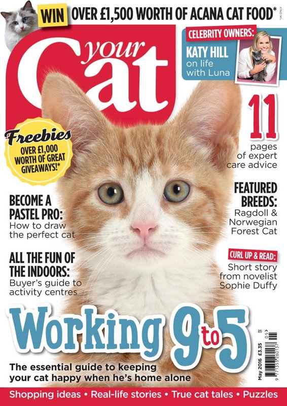 Your-Cat-May-2016.jpg