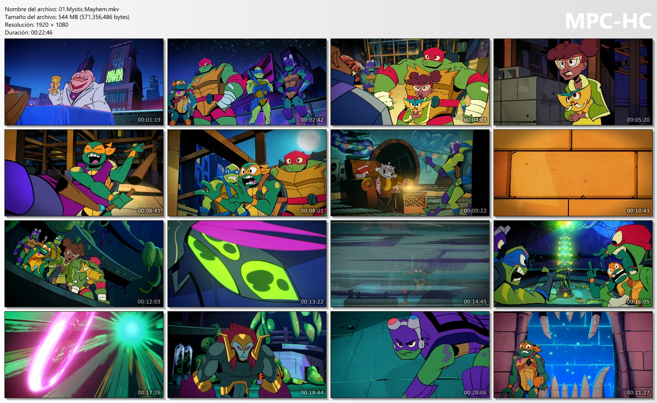 Tortugas Ninja - Todas las Series [1987-2018] (1080p)