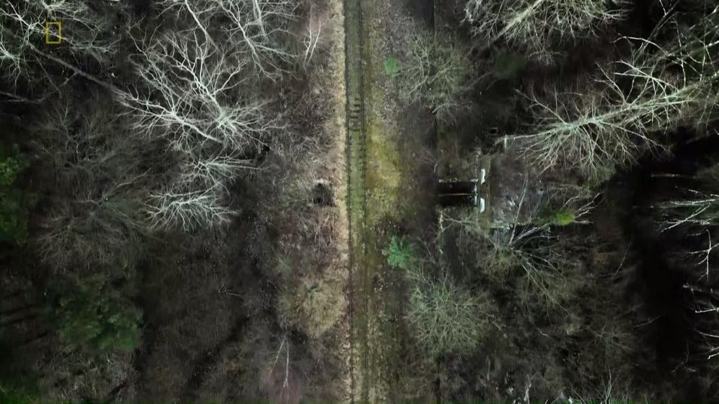 [Image: es59l6skkh5g.jpg]