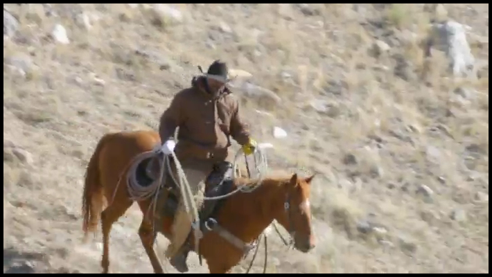 [Image: 8dx6ie3u8hth.png]