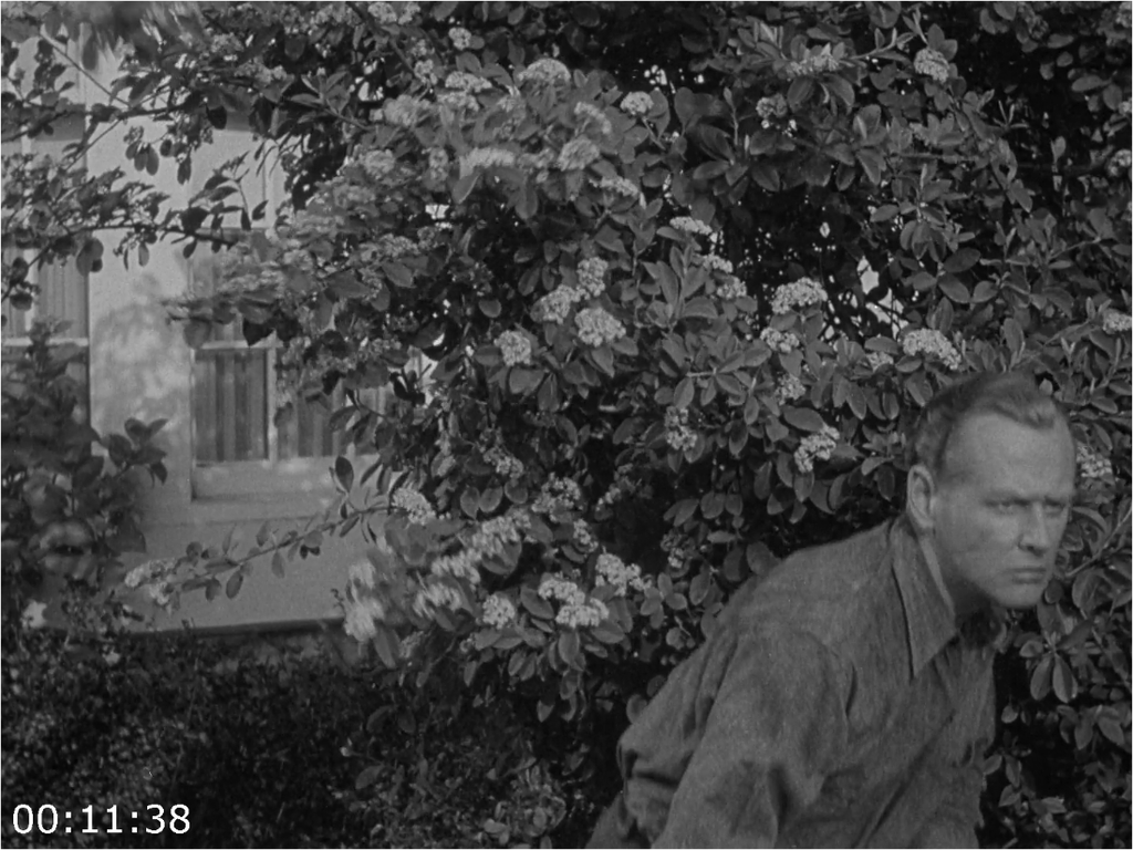 [Image: a6x2bjbc7j5b.png]