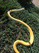 4D76166D-0AFD-4921-9929-7D7882EB3B6F