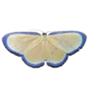 tumblr-f370049ae9d1c616a95f140713847a9b-811d22d6-250