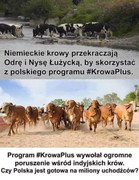 https://i.postimg.cc/4m2zdt5q/received-696413990774480.jpg