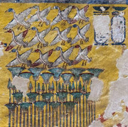 Ленивый Египет (Хургада, Луксор, Каир), декабрь 2025 - январь 2026