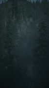 Alan-Wake2-2026-06-06-15-40-18-760