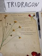 IMG_20250817_202305_570