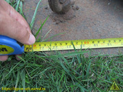 IMG-1409