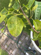 74C857AD-B450-4076-B324-6BFE5E85269F