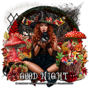 kgmushroomwitchGood Night