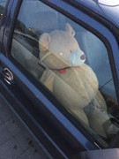 A0FE88EB-6ABB-47F9-B5F2-A1EDE3A2B77A