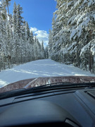 [Image: IMG-6334.jpg]