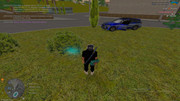 IMG-6591