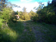 IMG-20210603-181634-4-Copy.jpg