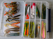 PXL_20250310_131439659